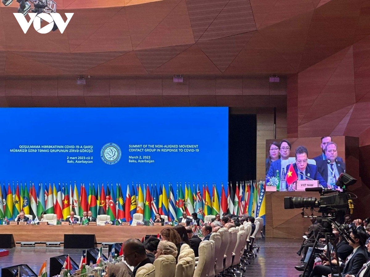 Vietnam aporta al MNOAL sobre la respuesta a la pandemia de COVID-19