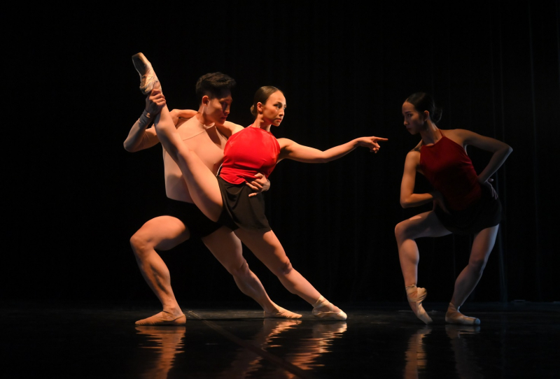 Ballet Dong Ho debutará en Hanói este mes
