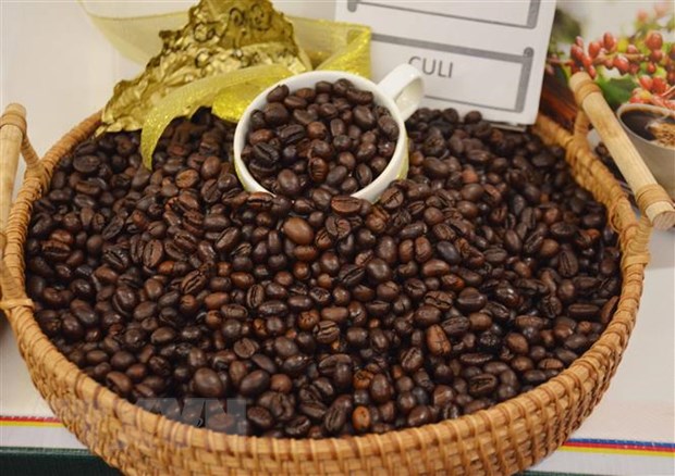 Vietnam registra un crecimiento del 78,9 en el valor de las exportaciones de café a España