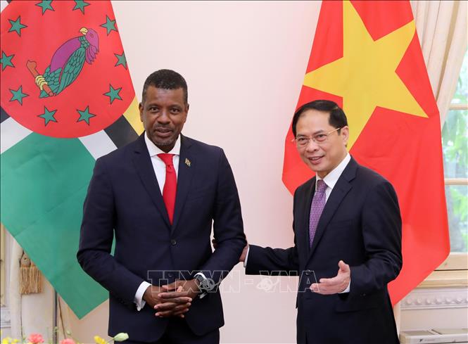 Vietnam y Dominica amplían la cooperación bilateral y multilateral