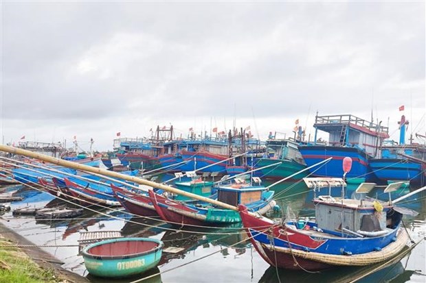Más esfuerzos contra la pesca ilegal, no declarada y no reglamentada en Quang Tri