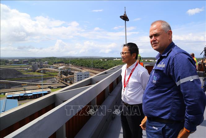 Vietnam y Sudáfrica impulsan la diplomacia económica