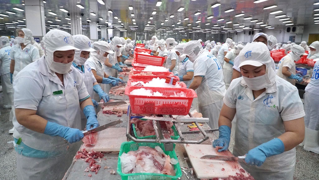 Prevén recuperación de exportaciones de pescado Tra en tercer trimestre