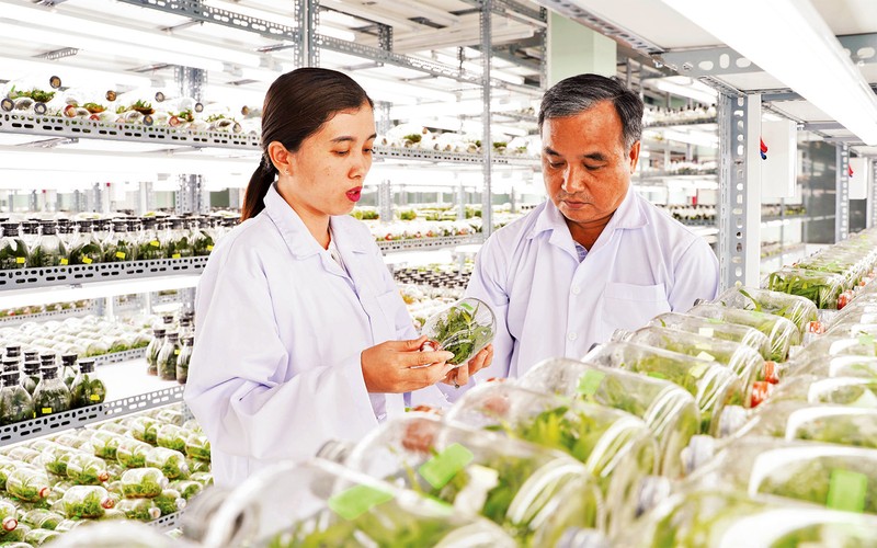 Convertir Ciudad Ho Chi Minh en un centro de biotecnología