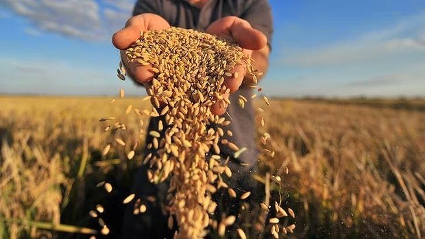 Vietnam organizará la cuarta Conferencia Global del Programa de Sistemas Alimentarios Sostenibles