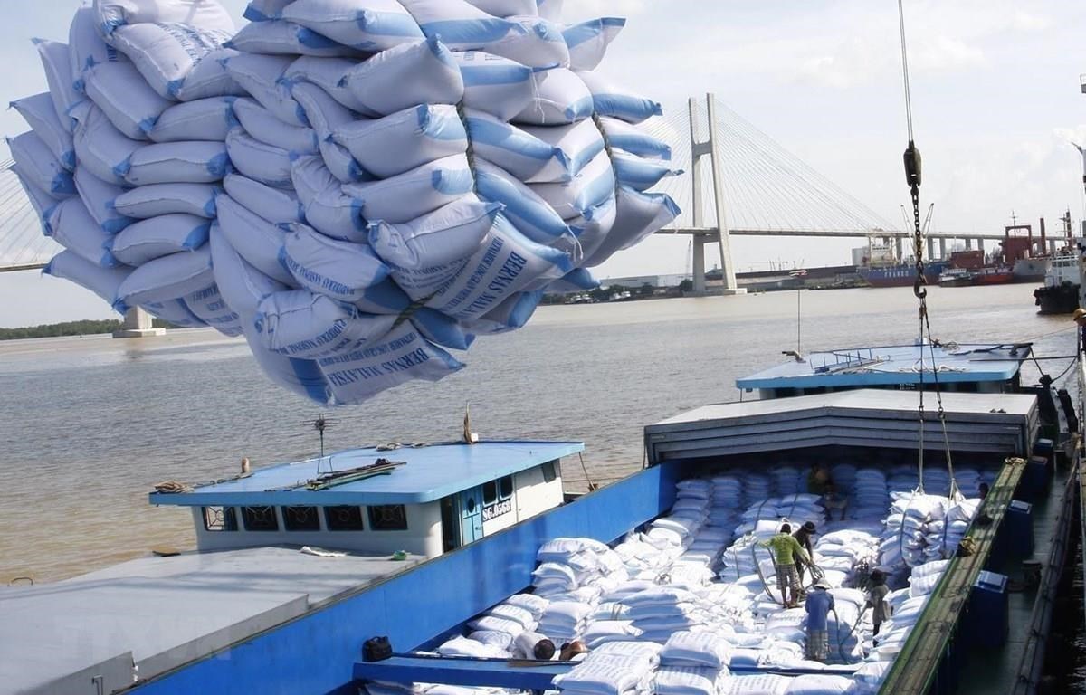 Las exportaciones de arroz mantienen su ritmo de crecimiento
