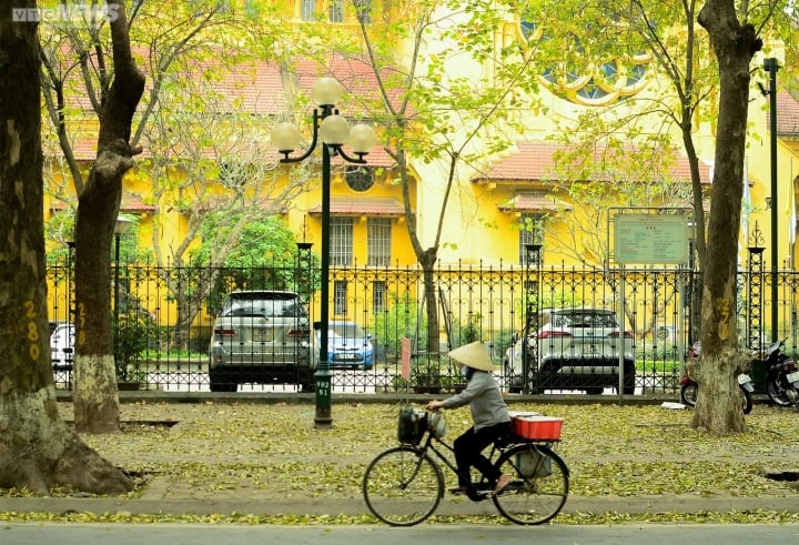Hojas amarillas en la calle hace de una Hanói romántica