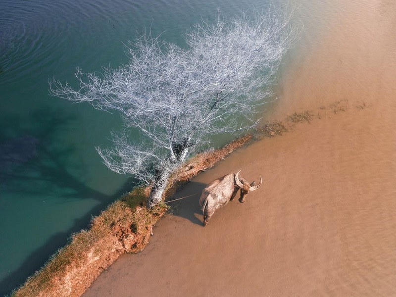 Impresionantes paisajes vietnamitas en el Premio de Fotografía 35AWARDS 2023