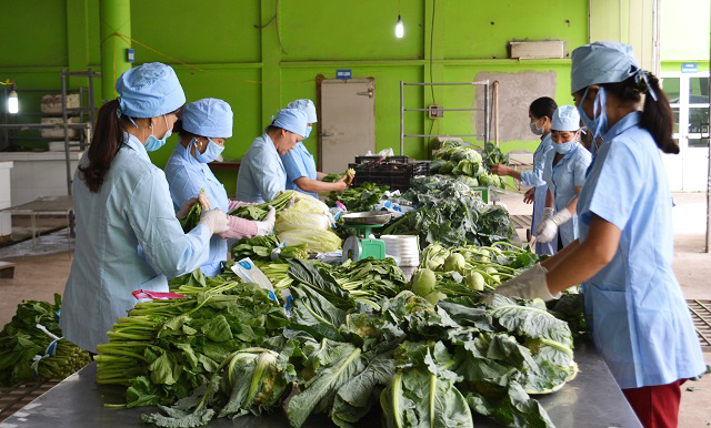 Hanói se convertirá en centro de exportación de productos procesados