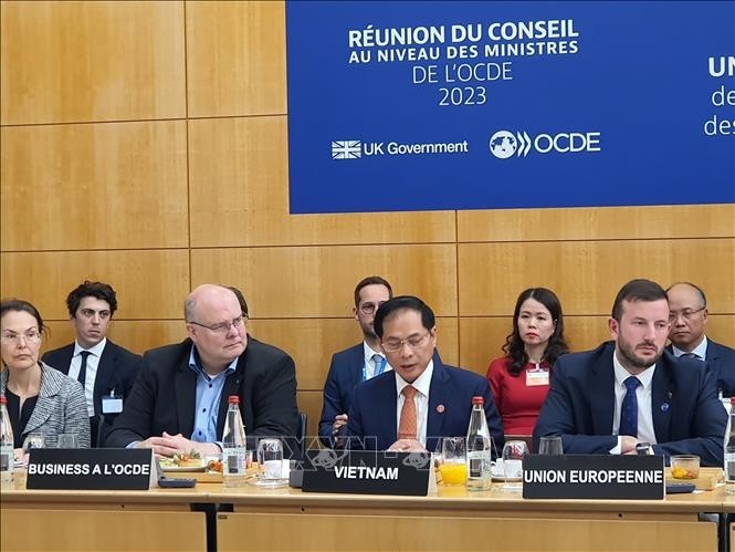 Vietnam afirma en OCDE determinación sobre transición verde