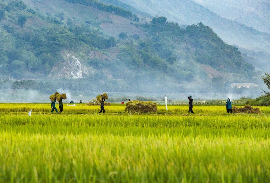 La belleza de la estación seca en la comuna de Muong Lay