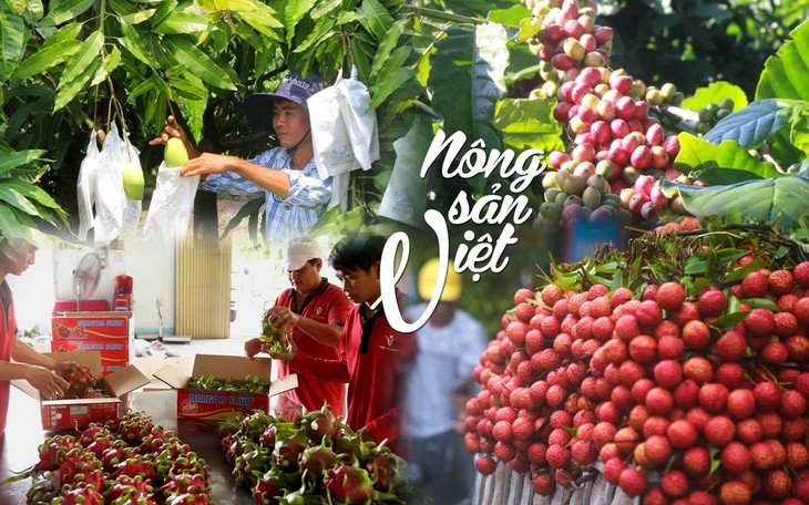 Desarrollan identidad para productos agrícolas nacionales en promoción de exportación