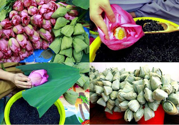 Té de loto del Lago Oeste el regalo por excelencia de Hanói