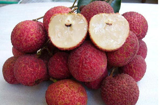Lichi vietnamita sin semilla se vende por primera vez en el mercado de Reino Unido