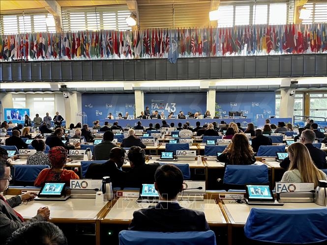 Vietnam asiste a la 43 º sesión de la Conferencia Ministerial de la FAO