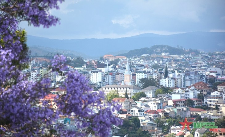 Da Lat aspira a ser miembro de la Red de Ciudades Creativas de la UNESCO