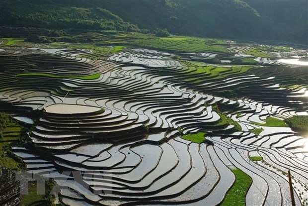 Prensa singapurense recomienda tres destinos vietnamitas para escapar del intenso calor