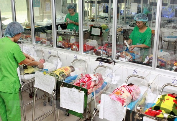 Día Mundial de la Población Vietnam logra avances en igualdad de género