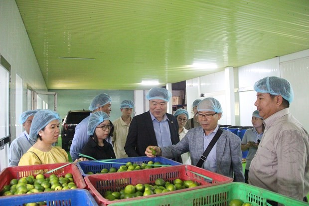 Vinh Long fomenta la cooperación empresarial con Corea del Sur
