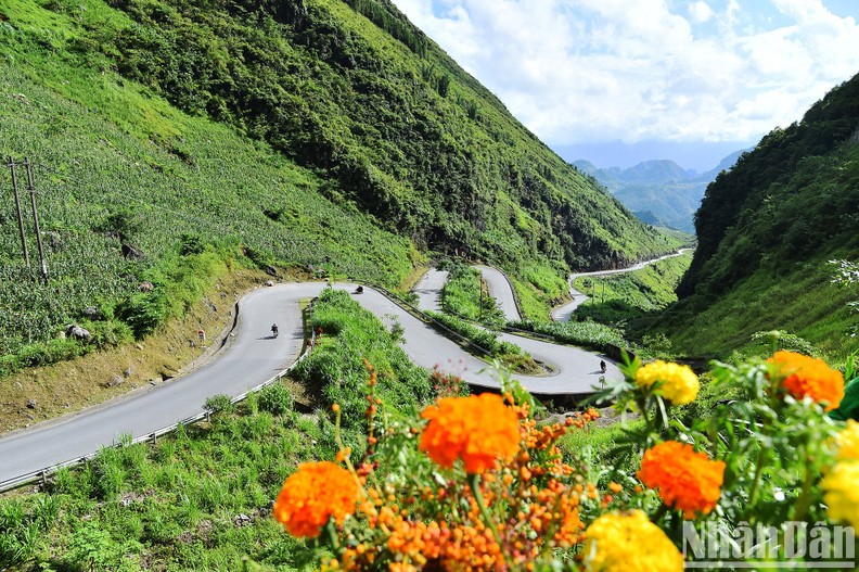 Colores de Ha Giang, hermoso territorio septentrional del país