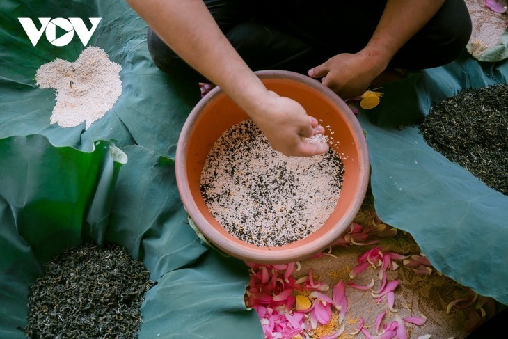 Descubren el té más caro de Vietnam