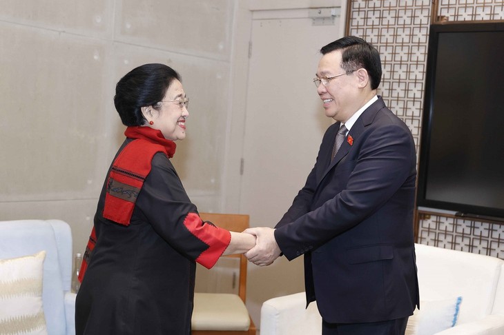 Vuong Dinh Hue se entrevista con expresidenta de Indonesia
