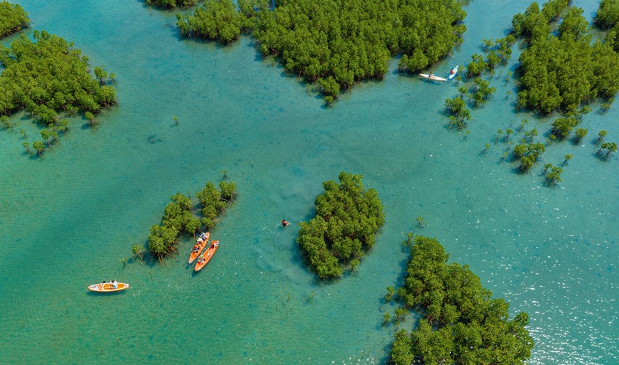 Experimentan ecoturismo en la bahía de Nha Trang