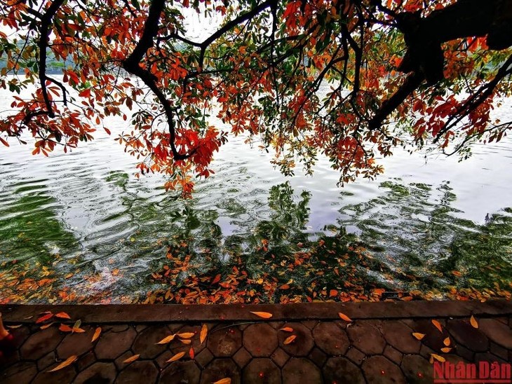 Capital vietnamita entre los mejores destinos en invierno