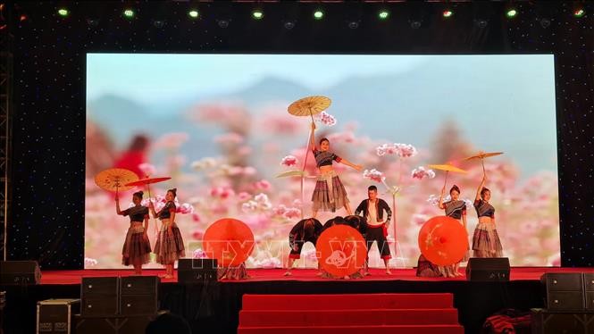 Programa artístico vietnamita e indio realizado en la ciudad norteña de Lao Cai