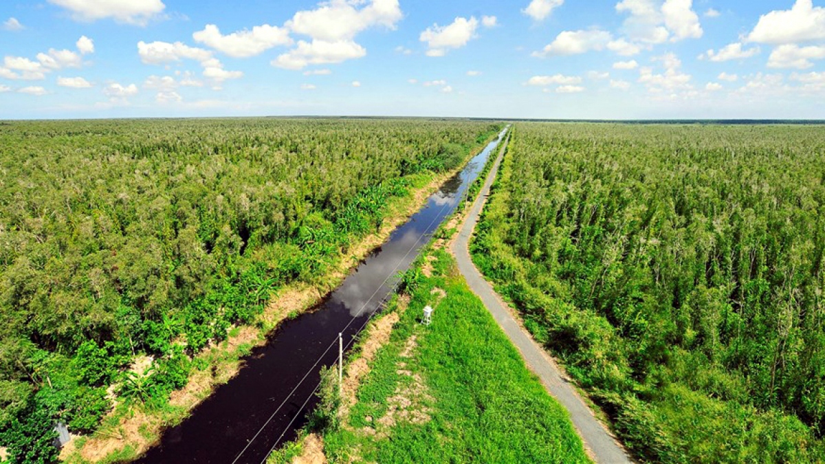 Vietnam impulsa el desarrollo del mercado de carbono