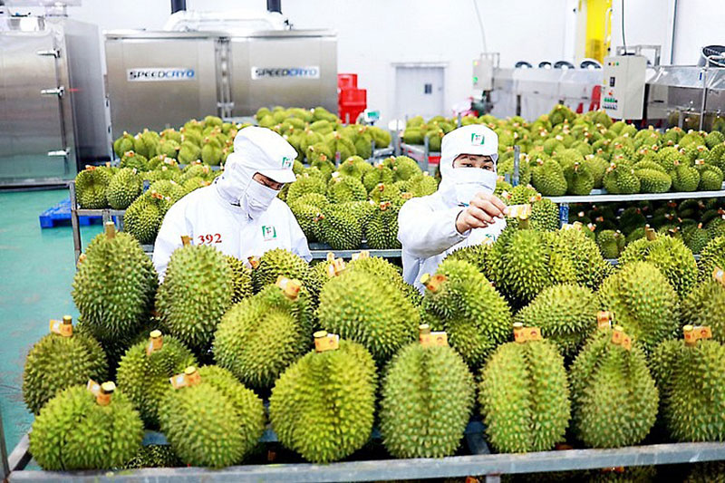 El sector hortofrutícola bate su récord de exportaciones