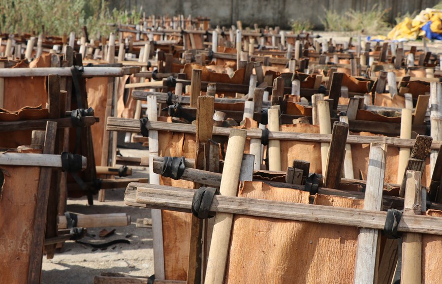 Canela Tra Bong una de las grandes hierbras medicinales de medicina oriental