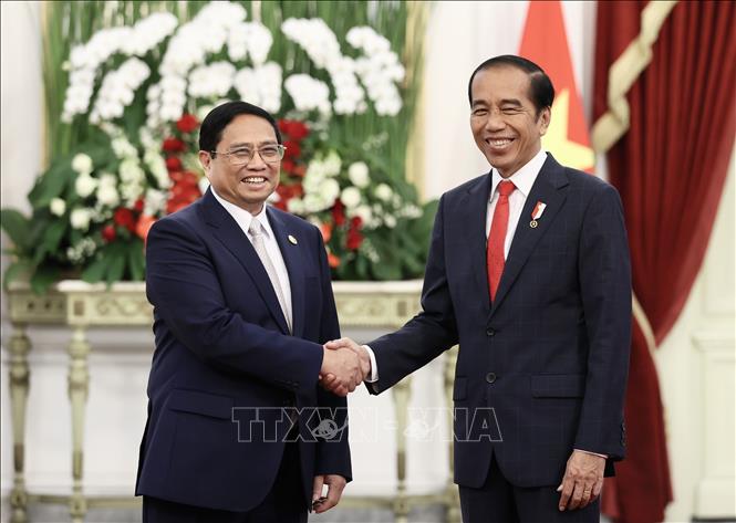 Vietnam e Indonesia elevan la eficacia de los mecanismos de cooperación bilateral