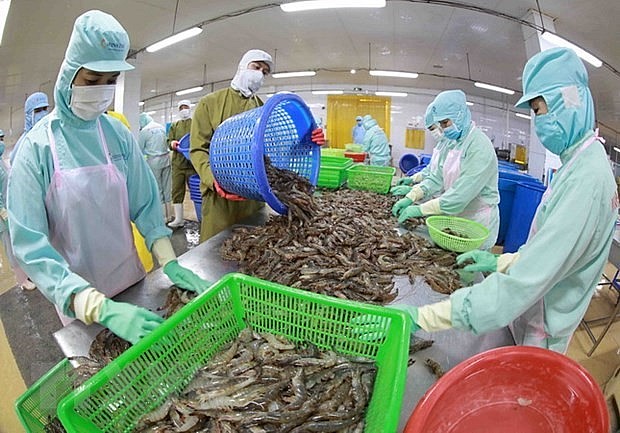 Vietnam, séptimo mayor proveedor de productos pesqueros para China