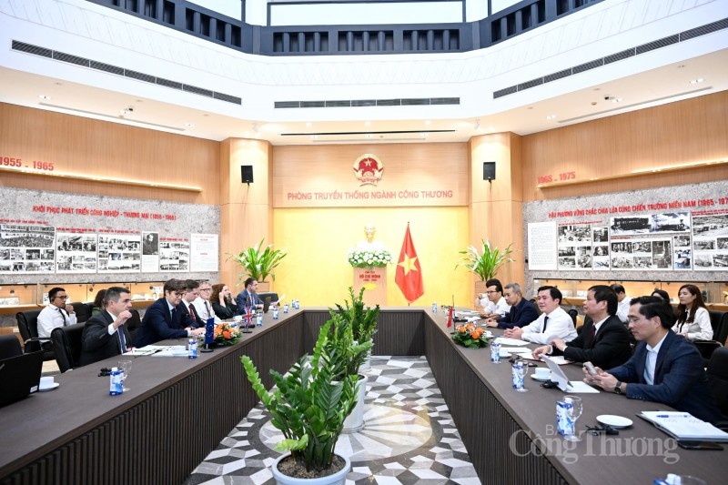 Vietnam, UE y Inglaterra promueven la cooperación en la transición energética