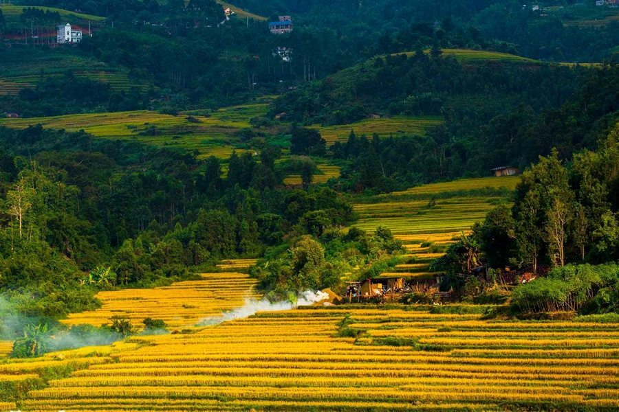 Semana de la Cultura y el Turismo, el Festival de la Temporada Dorada 2023 de Binh Lieu