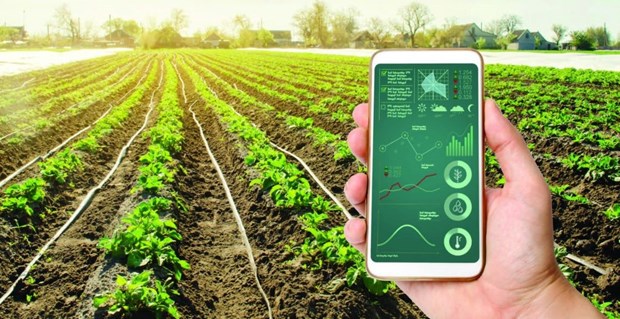 Promueven transformación digital en sector agrícola en Vietnam