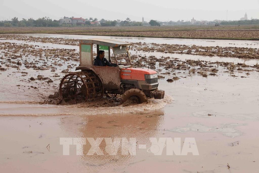 Vietnam celebra el 43 º Día Mundial de la Alimentación