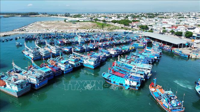 Delegación de la CE reconoce los esfuerzos de Vietnam contra la pesca ilegal