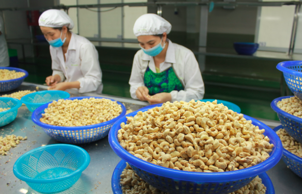 Vietnam es un socio comercial importante de Camboya