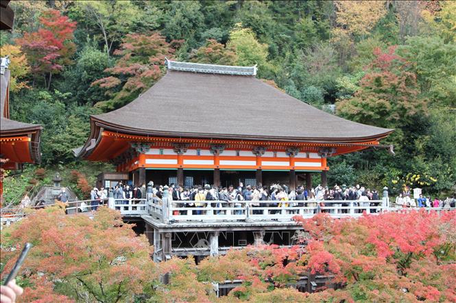 Vietnam y Japón cooperan en la búsqueda de soluciones para superar la sobrecarga turística