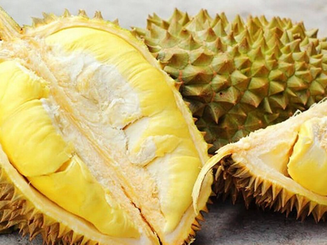 Vietnam espera alcanzar 55 mil millones de dólares por exportación agroforestal y acuática