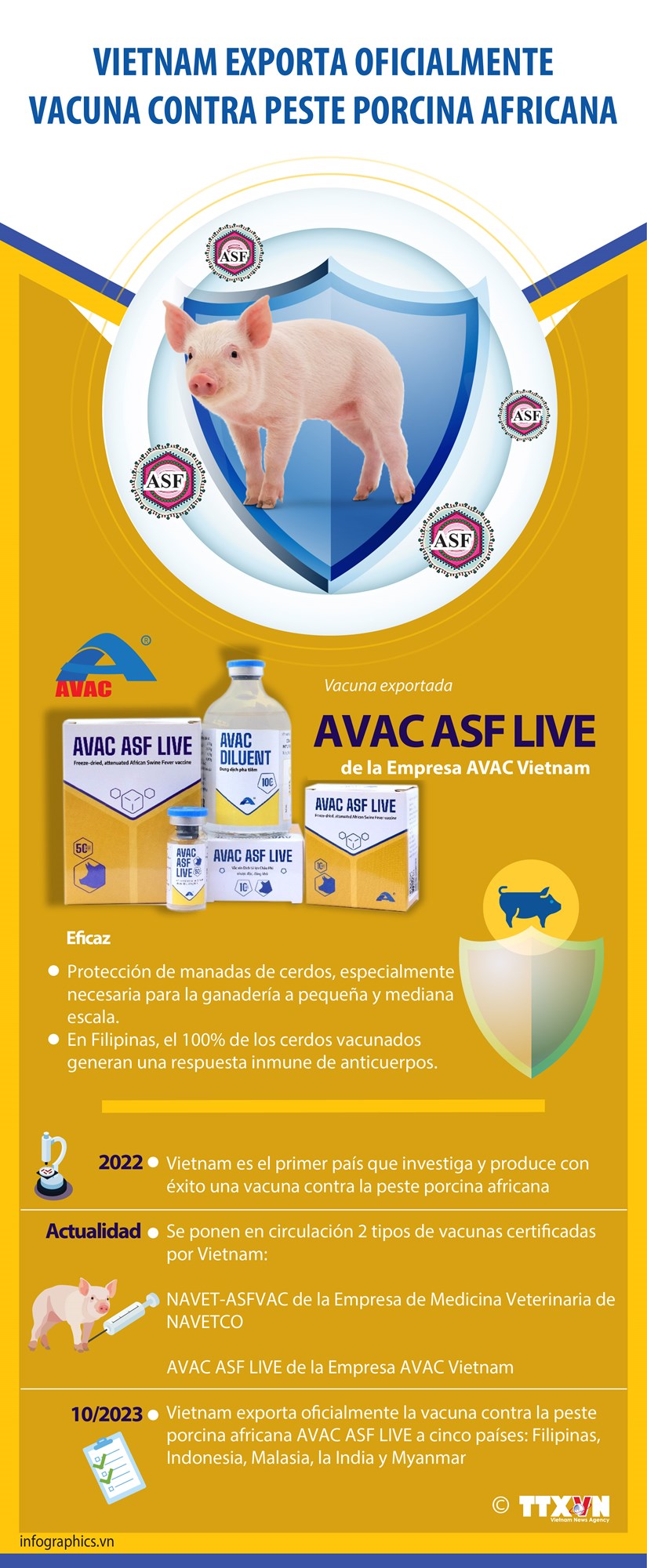 Vietnam exporta oficialmente vacuna contra peste porcina africana