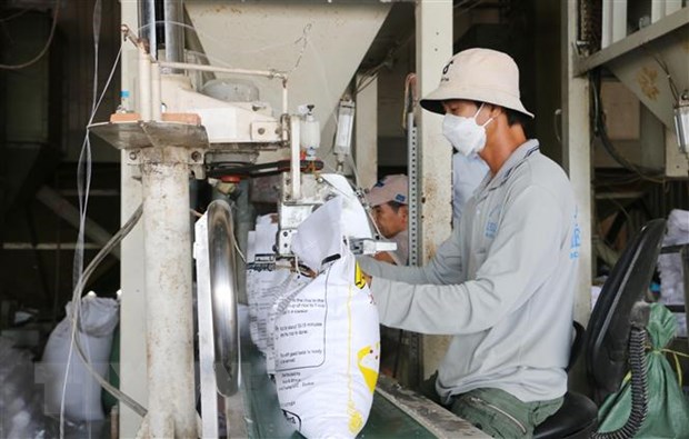 Vietnam y Mongolia suscriben un memorando de entendimiento sobre comercio sostenible de arroz