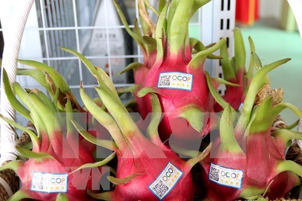 Vietnam presenta en la India productos agrícolas destacados
