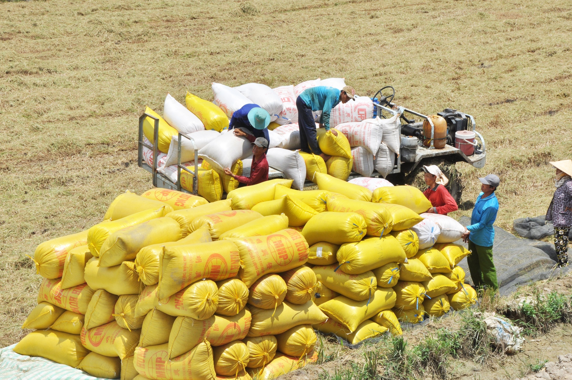 Boyantes perspectivas para las exportaciones de productos agrícolas en 2023