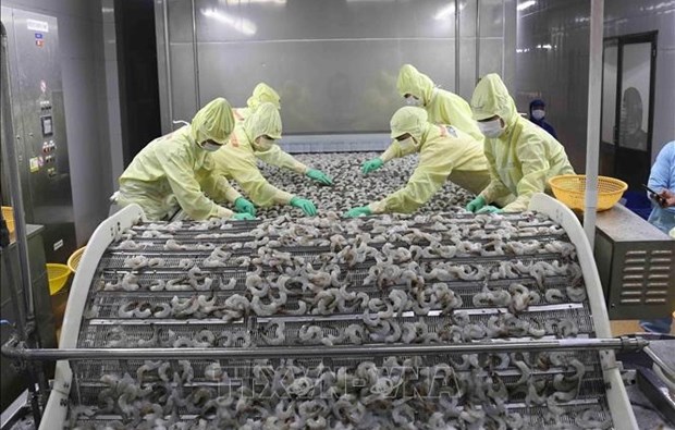 Vietnam por promover exportaciones camaroneras en medio de dificultades