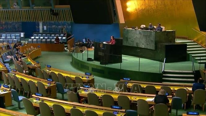 Vietnam destaca papel de Corte Internacional de Justicia en la lucha contra consecuencias del cambio climático