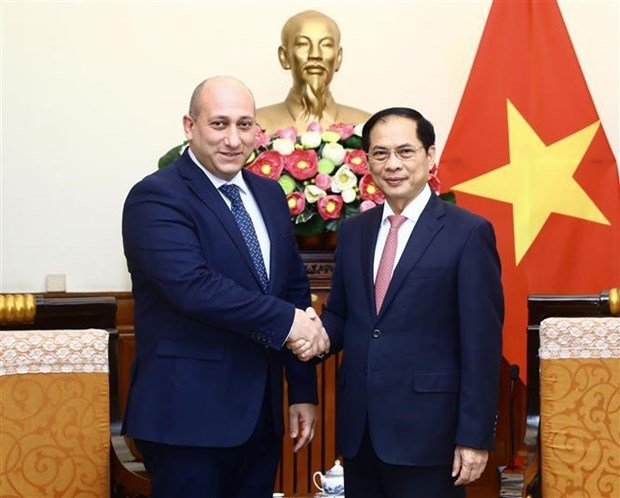 Vietnam y Georgia expresan deseo de desarrollar su cooperación multifacética