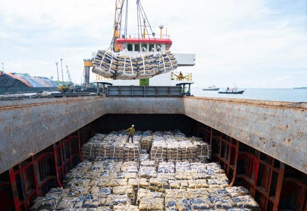 Mejoran exportaciones de clínker y cemento de Vietnam